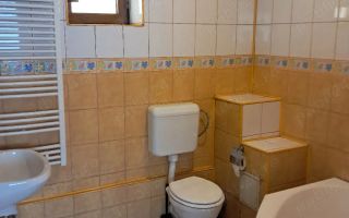 Spatiu comercial - Brâncoveanu - Poză 5