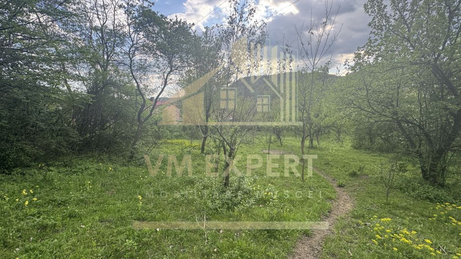 TEREN INTRAVILAN 7018 MP CAMPULUNG - Poză 13