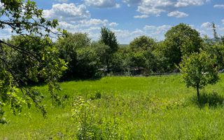 Casa in Comuna Geaca - Poză 21