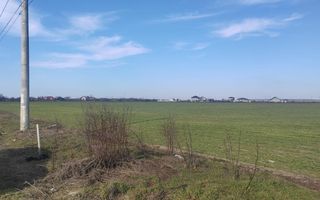 Cernica Tanganu super pret rezidential sau depozitare - Poză 4