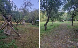 Teren de vacanță 5600 mp cu cabană, Utilitaiile Căsoaia jud Arad - Poză 6