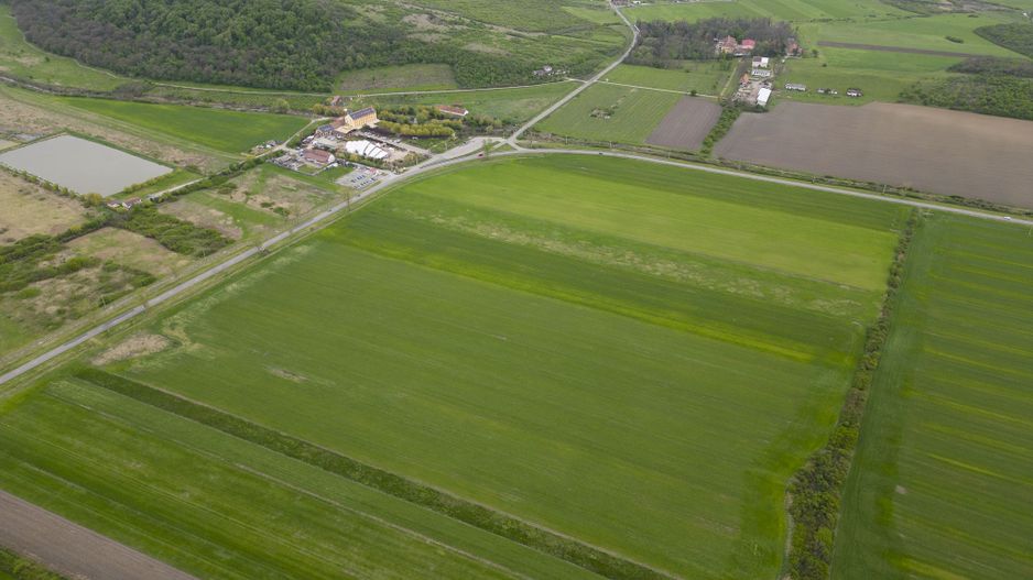 Teren extravilan de 22500mp Zona Ineu - Poză 4