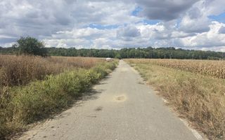 Teren 7500 mp Campurelu Colibasi strada asfaltata langa padure - Poză 5
