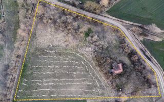 Teren agricol parțial intravilan | Ceuașu de Câmpie - Poză 4