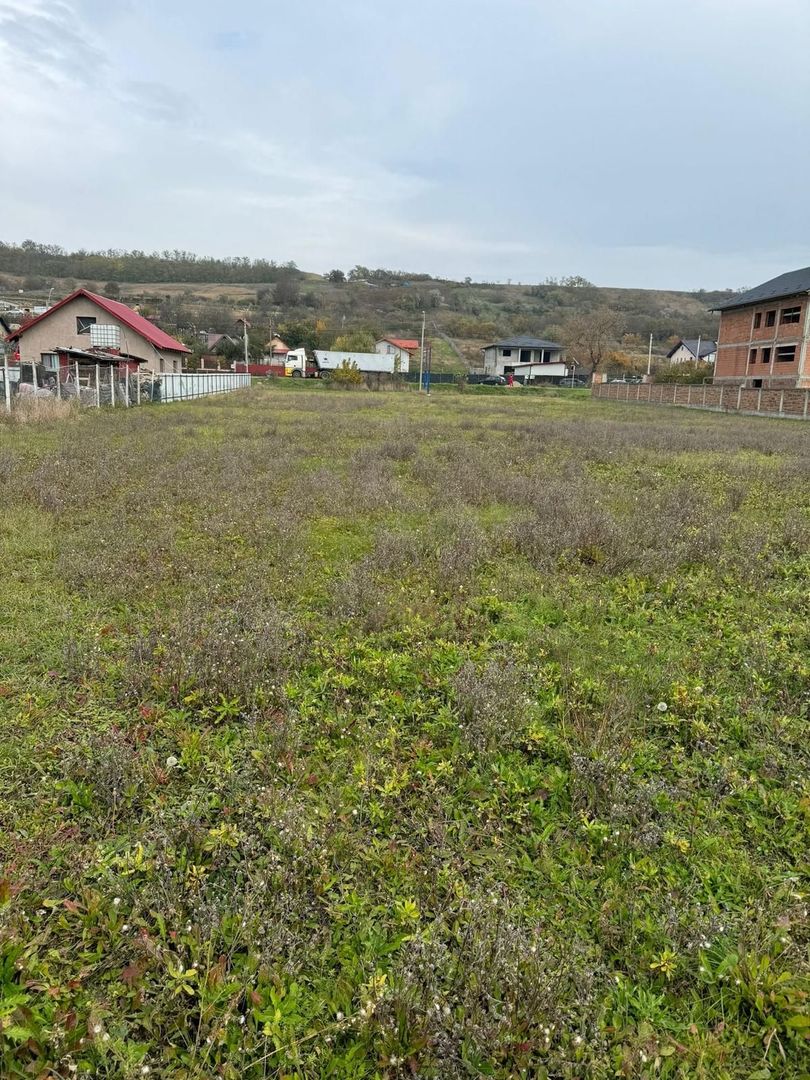 Teren 2.300 mp, cu acces la DN 15D, zona Ciusmeaua Moldovencei - Poză 4