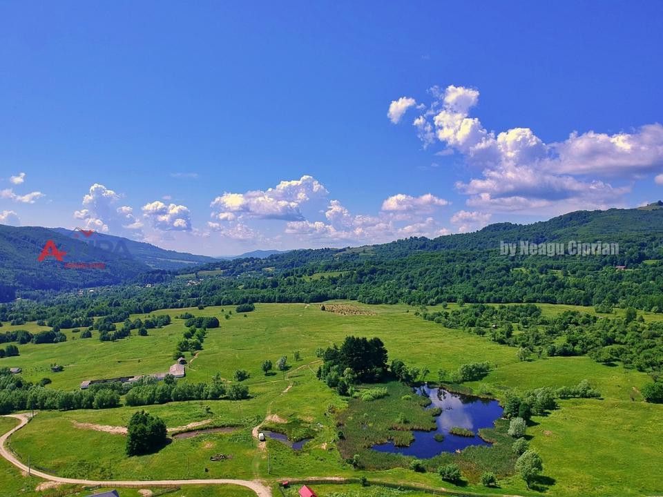 AZURA Imobiliare Pitesti - Casă de vacanță, Nucșoara! - Poză 22