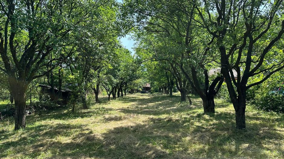 Teren 2000 mp, cu utilitati, pozitionare deosebita, Tocile - Poză 3