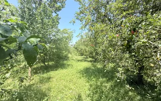 Casa interbelică cu arhitectură deosebită+Anexa și teren 1570 mp - Poză 37