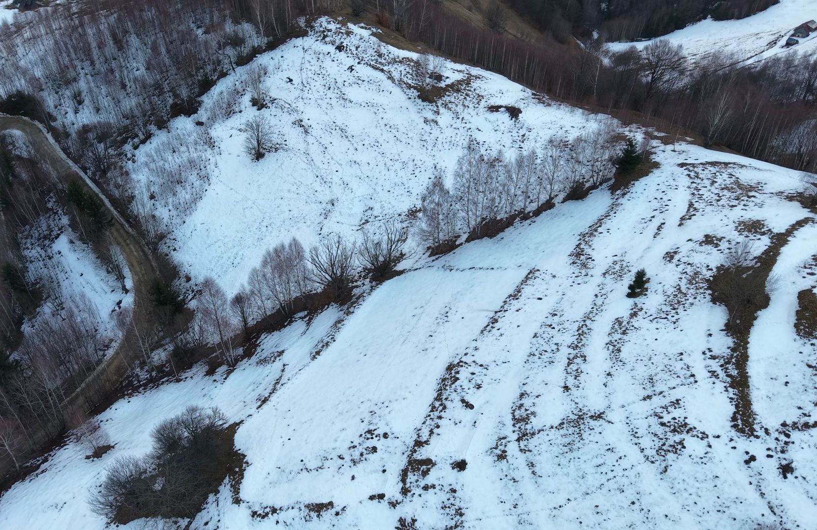 Teren de vânzare – Peștera Măgura Moeciu - Poză 2