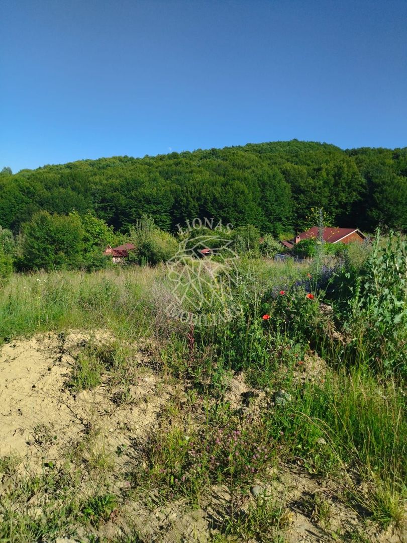 Teren 990 mp-ideal casa/casa de vacanta-panoramic-Zona Dealul Jelnei - Poză 3