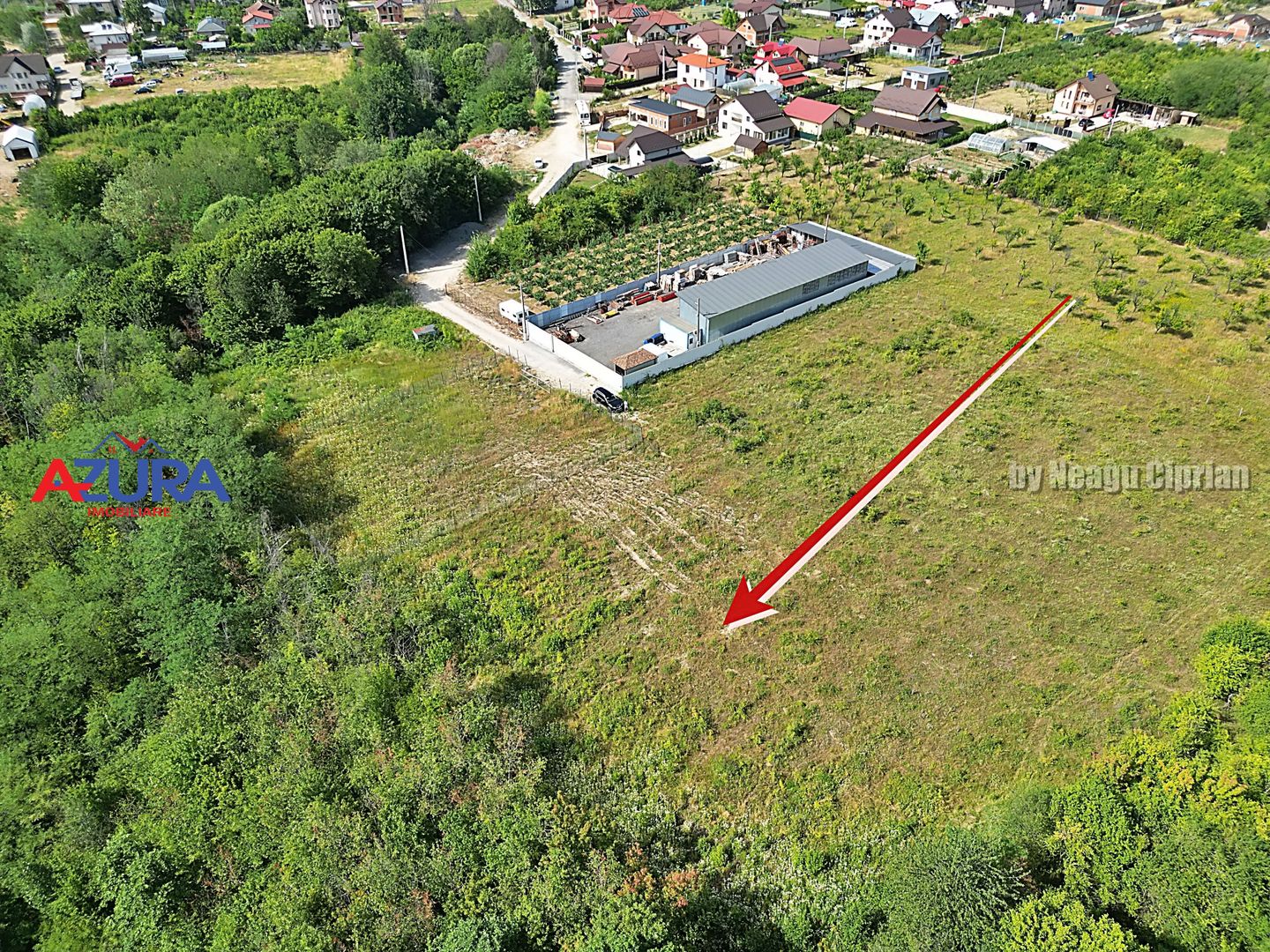 AZURA Imobiliare - Vanzare teren Smeura, zona verde - Poză 3