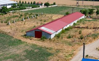 Cogealac - Tariverde – Ferma cu teren intravilan, utilitati racordate! - Poză 6