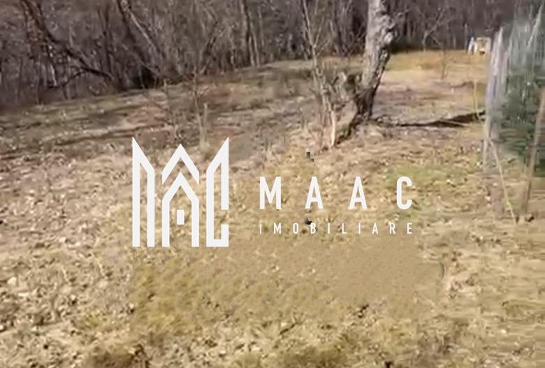 Teren | Intravilan | 1148 MP | Marginimea Sibiului - Poză 2