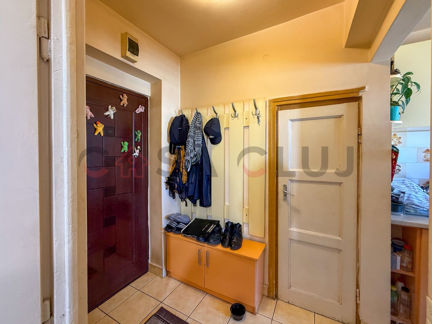 2 camere, vedere spre Somes, Grigorescu - Poză 6