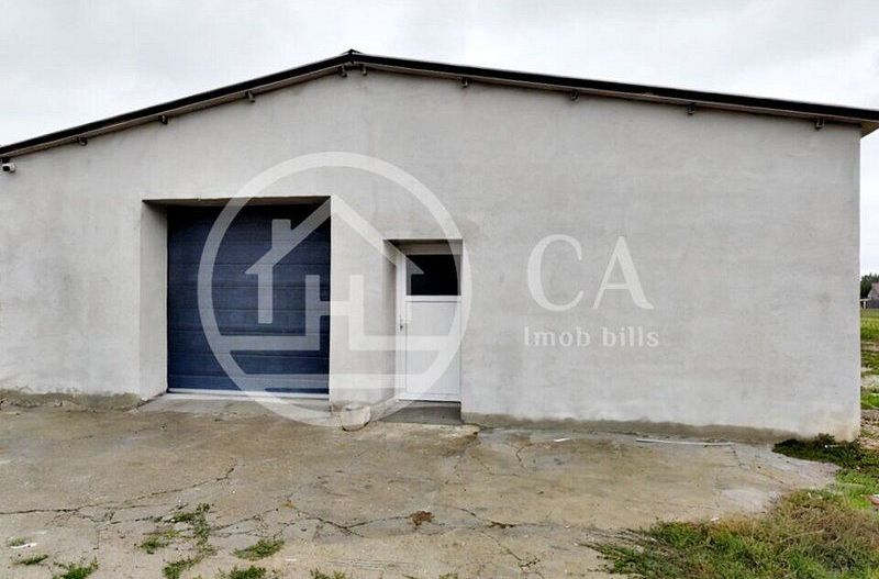 Hala de inchiriat, situata in Santaul Mic, Bihor - Poză 9