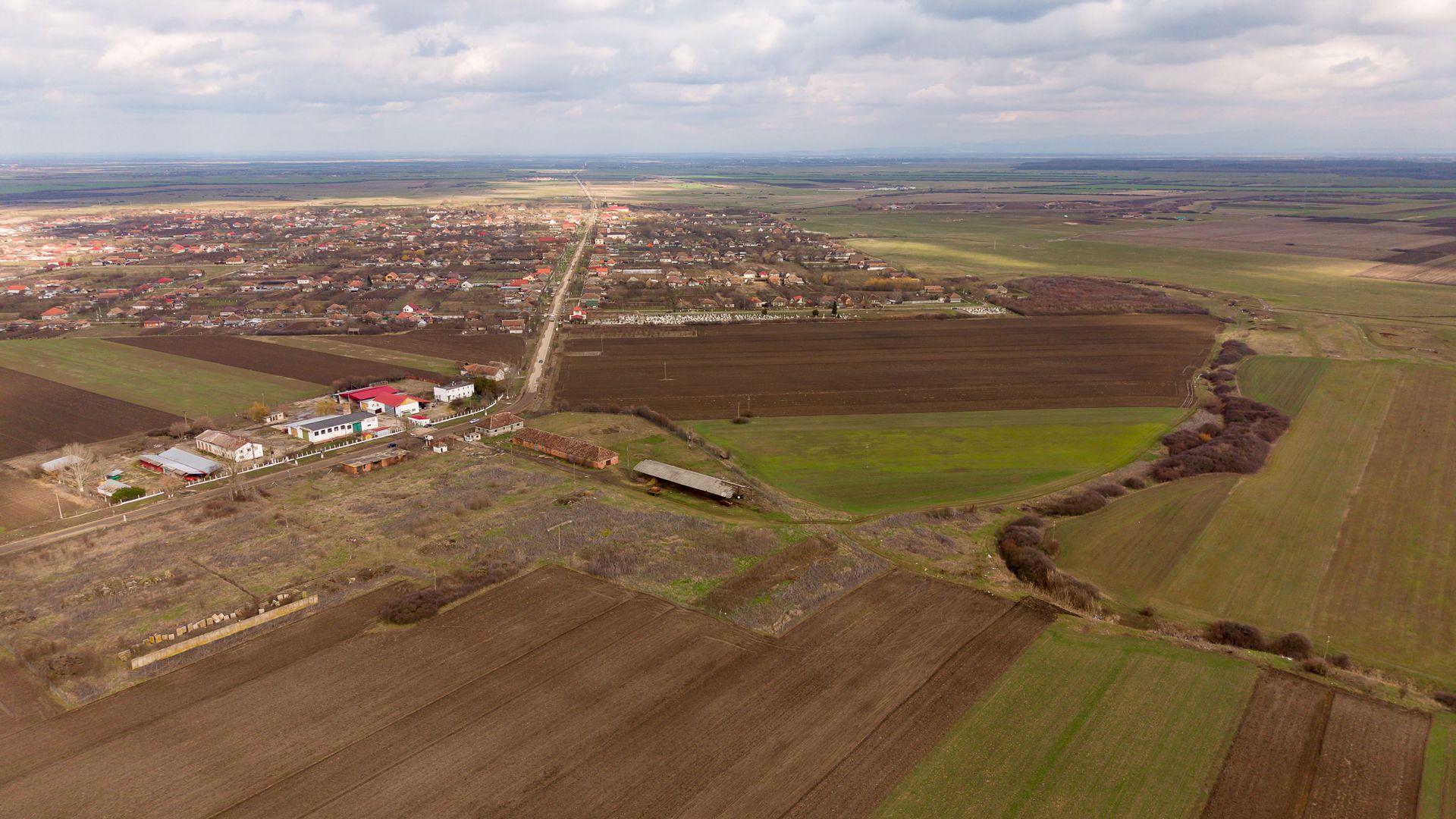 Fermă cu teren intravilan de 35000 mp în Mișca - Poză 5