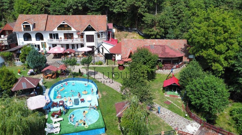 Pensiune de vânzare | 400 MPU | 10 Camere | Rasinari - Curmatura - Poză 23