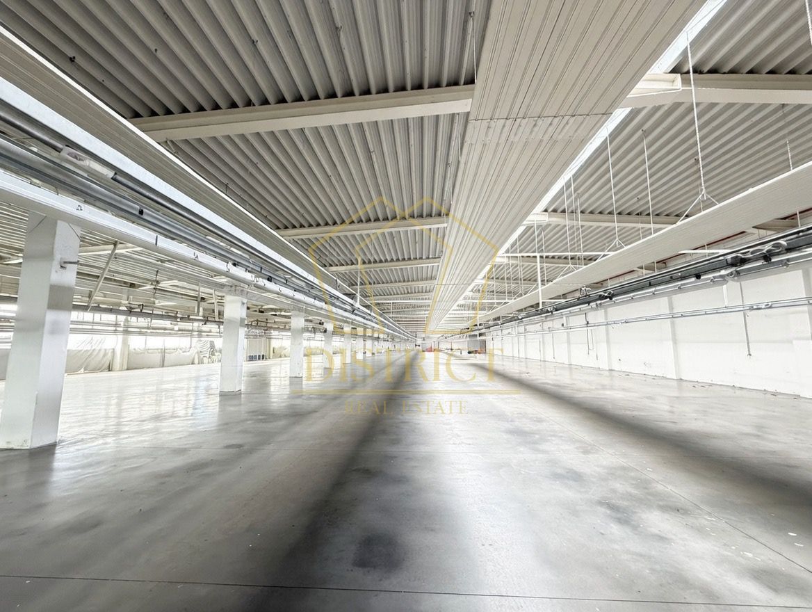 Hala industriala 4.300mp | Sagului | Timisoara | - Poză 7