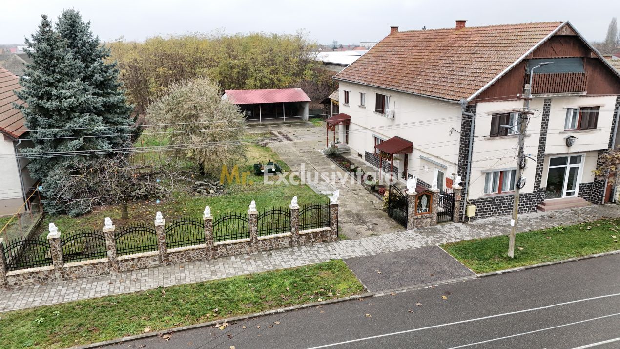 Casă 7 camere cu Teren 4.620 mp | Potențial pentru rezidență sau afacere | Carei - Poză 1
