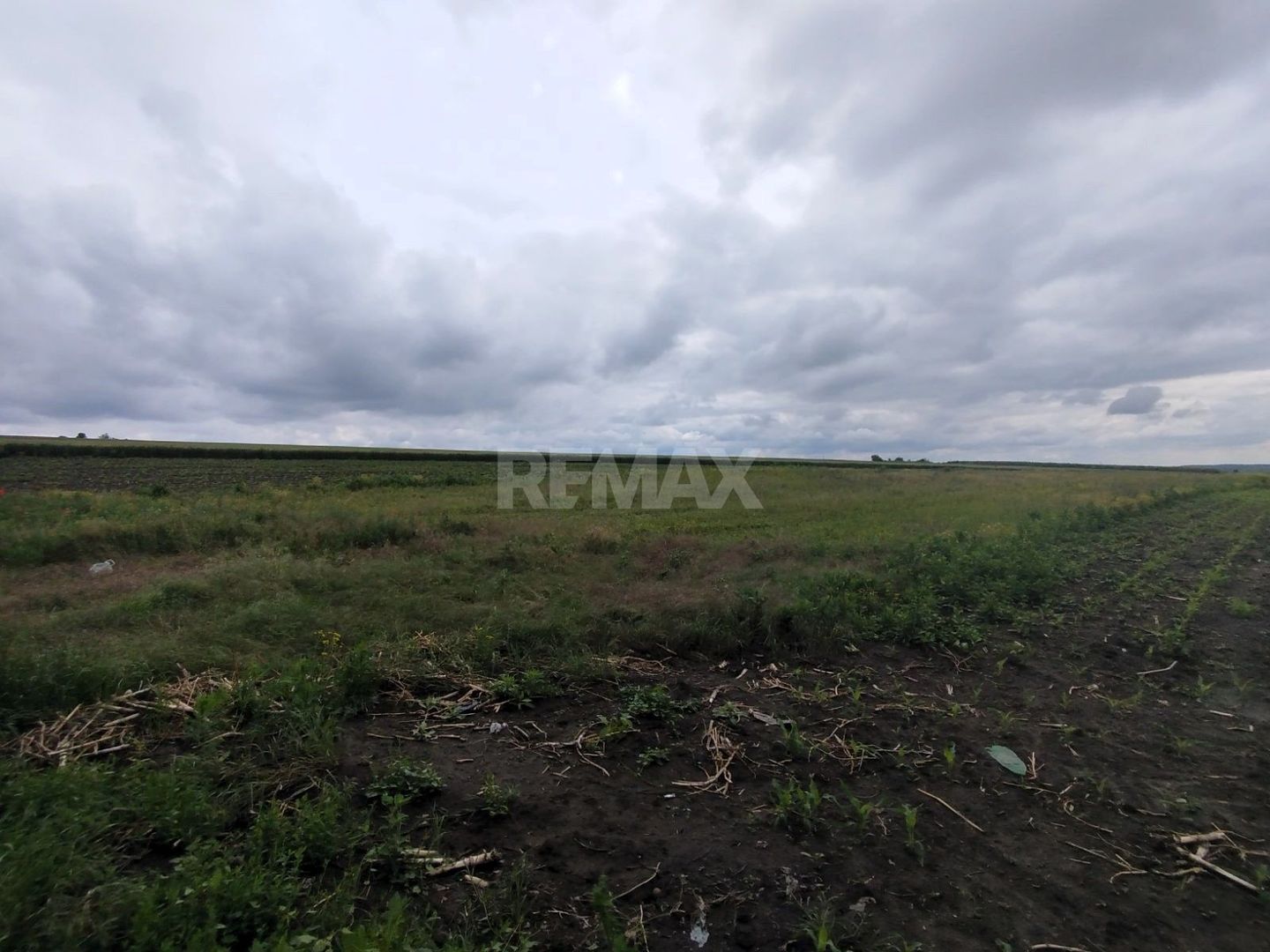 Teren Agricol de Vânzare – 78 Ari în Comuna Răzeni | Investiție cu Potențial! - Poză 5