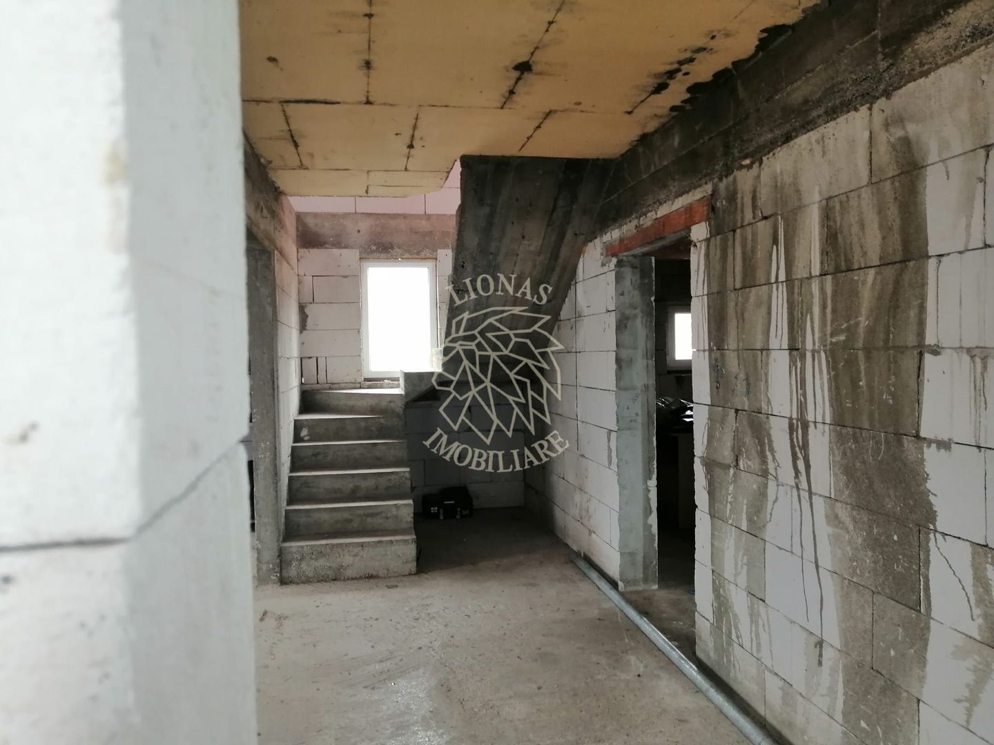 Doua Case 240 mp-teren 1328mp-livada-magazie-Cristesti Pascani - Poză 7