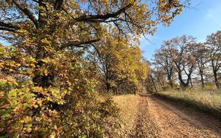 Teren de vanzare,  zona exclusivista,  2400MP - Poză 2