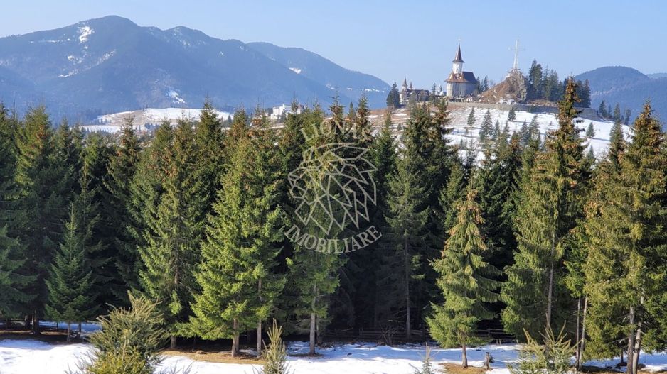 Teren intravilan 900 mp si 1102 mp-ideal cabana-Piatra Fantanele - Poză 2