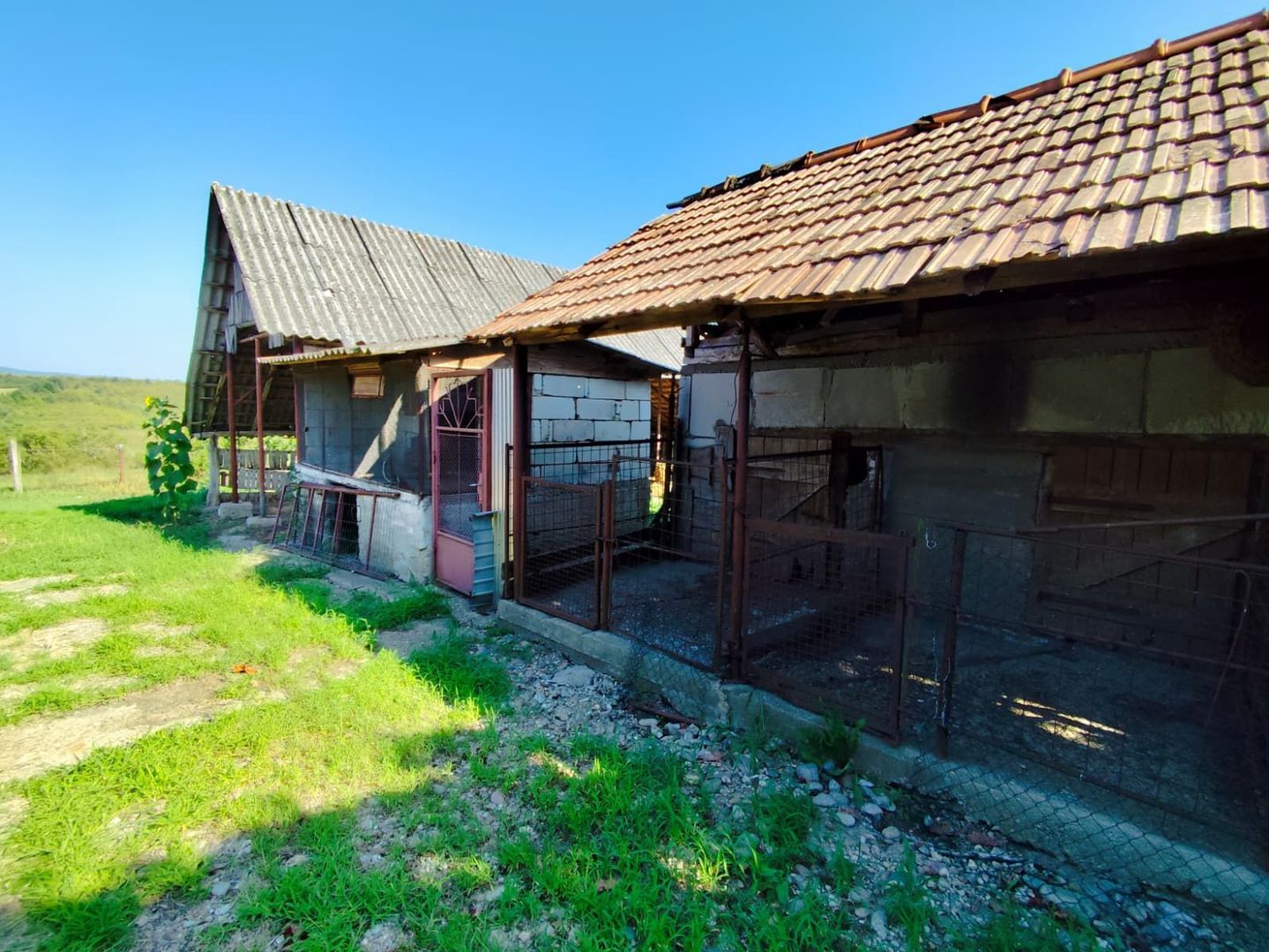 Casa la tara, Calea Mare, Bihor, teren mare, 2 intrari auto – vanzare - Poză 5
