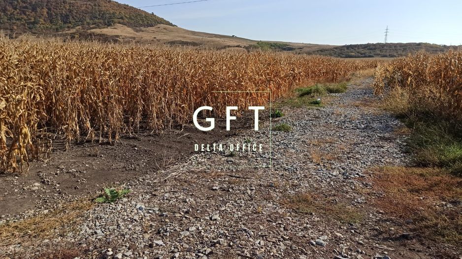 Teren intravilan 1000  mp ideal investitie Sarata - Poză 1