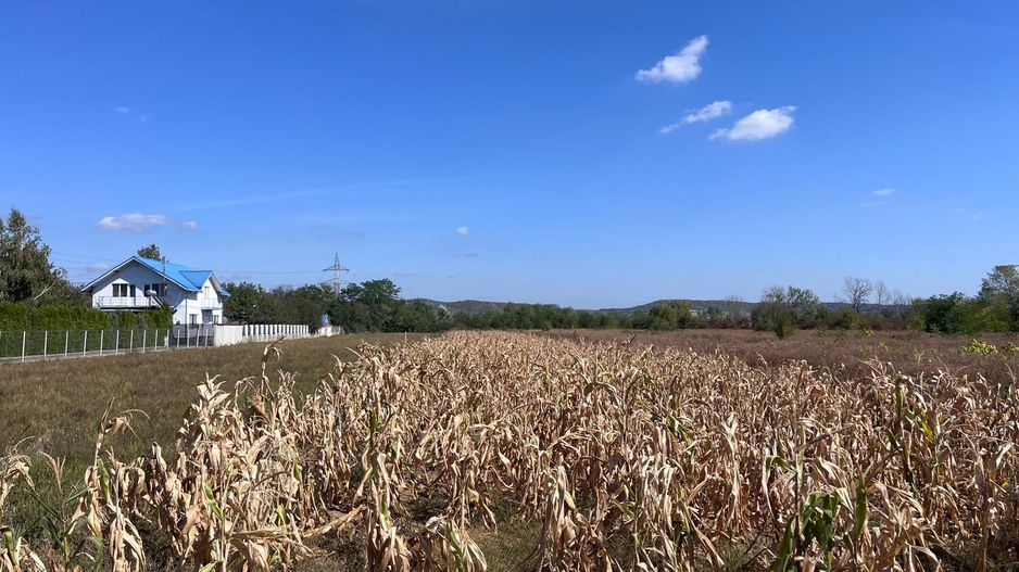 Teren arabil intravilan de vânzare- Teis! - Poză 1