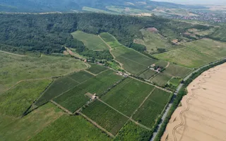 Vie Tradițională „Halta Lupilor” - Poză 27