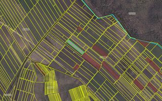 Teren agricol de 40 ari în Ghidighici – oportunitate pentru investiție sau activitate agricolă - Poză 7