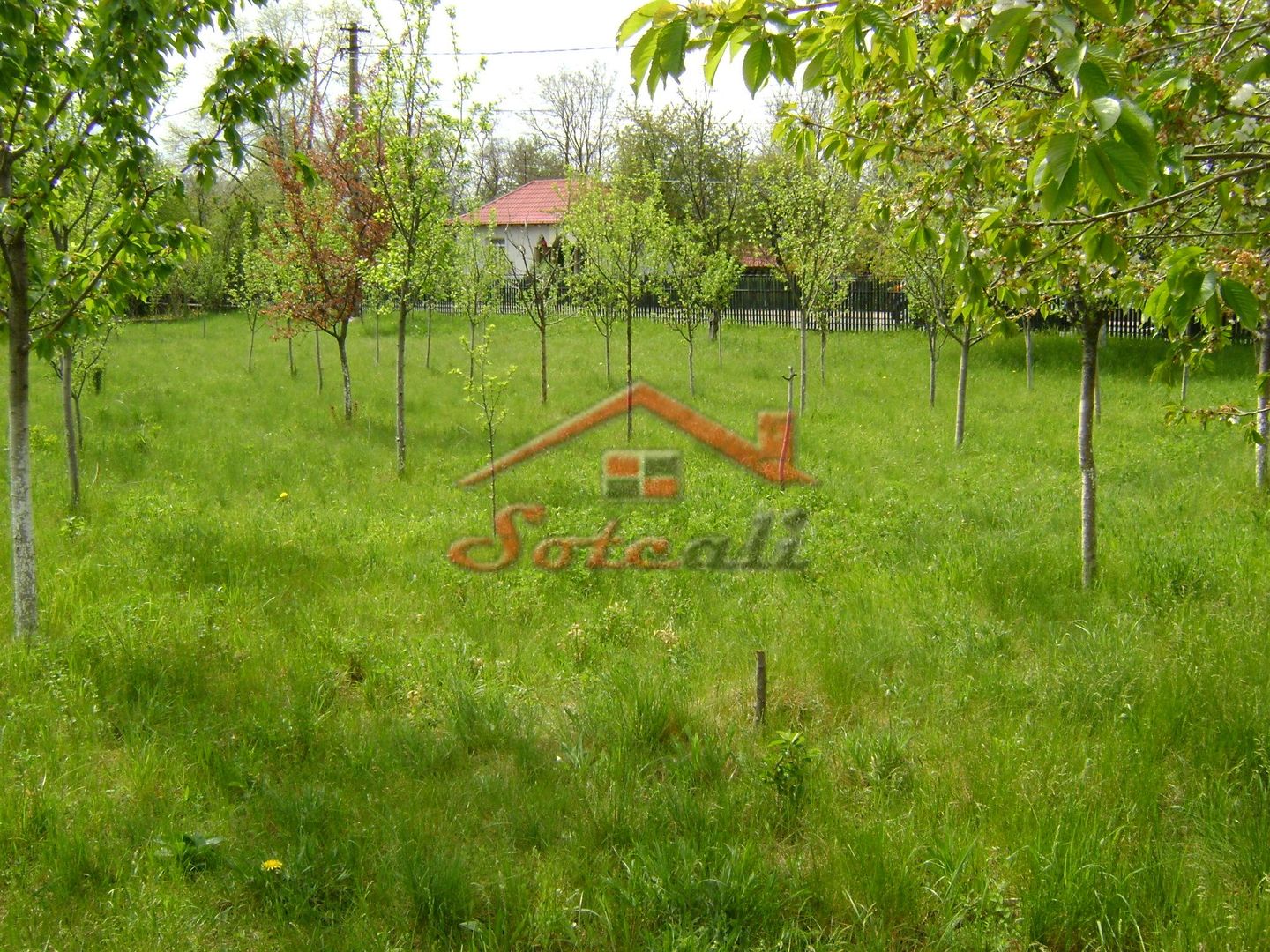 Teren de vanzare in Cornu 1183 mp - Poză 1