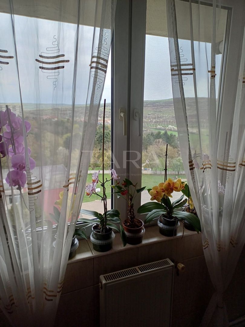 EXCLUSIVITATE. Zona Transylvania College, Iulius Mall. - Poză 2