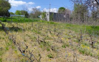 Teren intravilan 3.250 mp în Filești – Ideal pentru casă sau investiție! - Poză 17