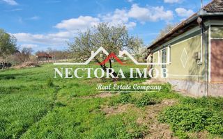 NECTORA IMOB-Casa 70 mp cu teren 951 mp, front 16 mp, Paleu Centru - Poză 4