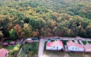 Ocazie!! Vanzare teren - padure, toate utilitatile, Balotesti - Poză 6