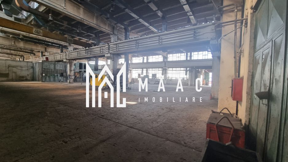 Hala Industriala | 1200MPU | Lazaret - Poză 6