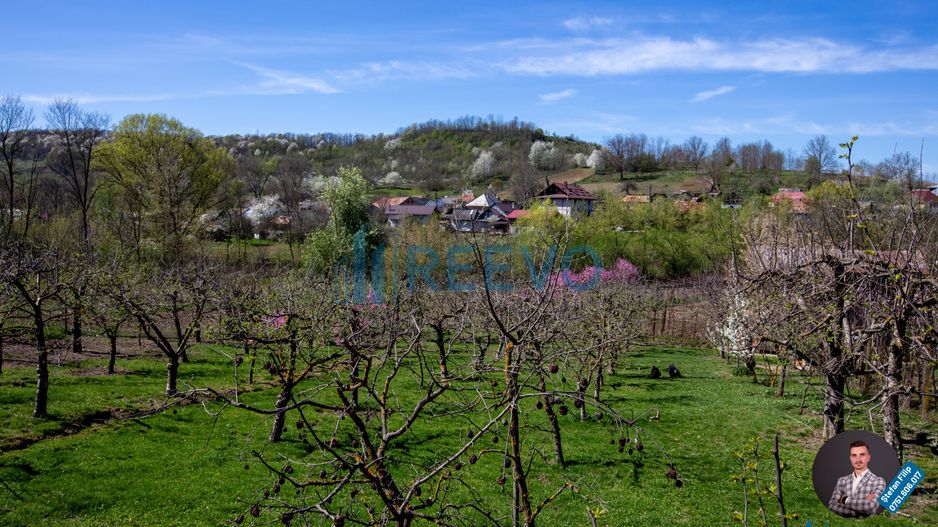 Casă și teren de vânzare, sat Buda, Blăgești, Bacău - Poză 2