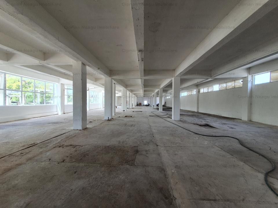 Hala Depozitare de Inchiriat Pitesti - Poză 4