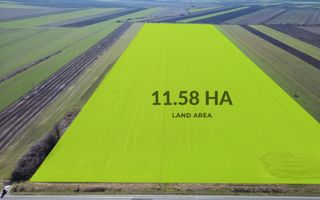 Teren folosinta conditii speciale | Oportunitate investitie | Nadlac - Poză 2