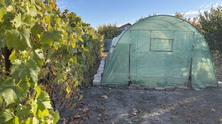 Teren ideal pentru constructie noua-800 mp cu front 22 ml - Poză 4