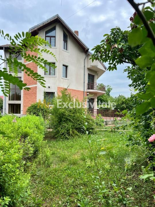 Acasă la Bascov- Județ Arges cu peisaj de poveste - Poză 3