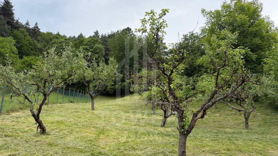 Casă rustică de vânzare în Tilișca, (Marginimea Sibiului) - Poză 24