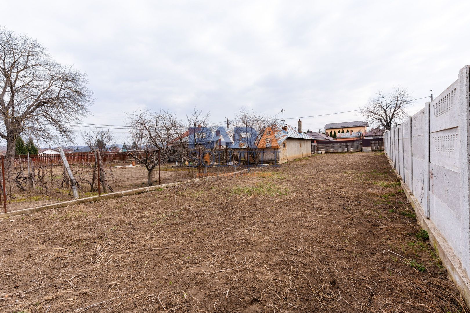 Grădină 300 mp - în oraș - Poză 6