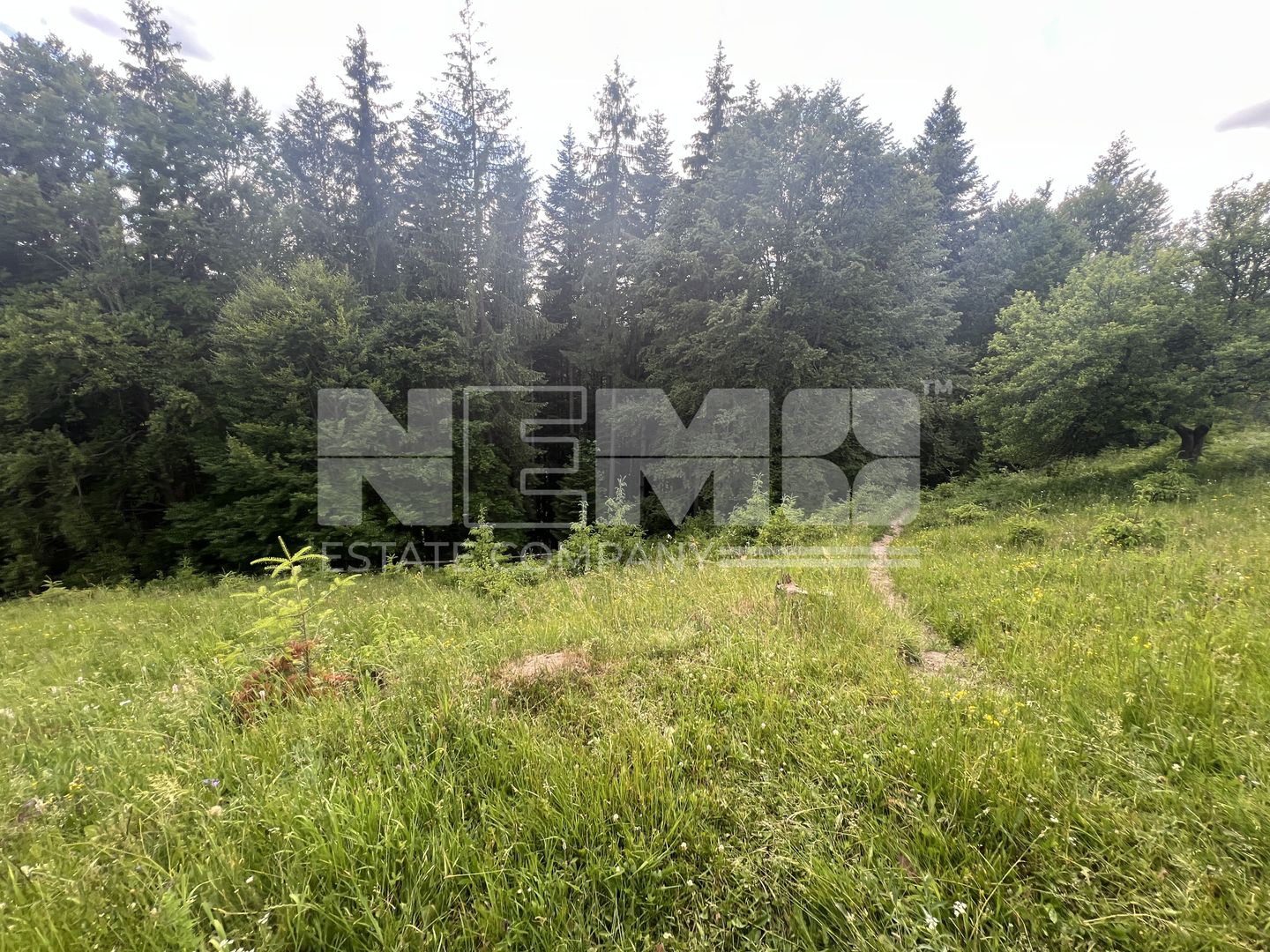 Teren Intravilan | Brodina de Jos | 16900 MP - Poză 8