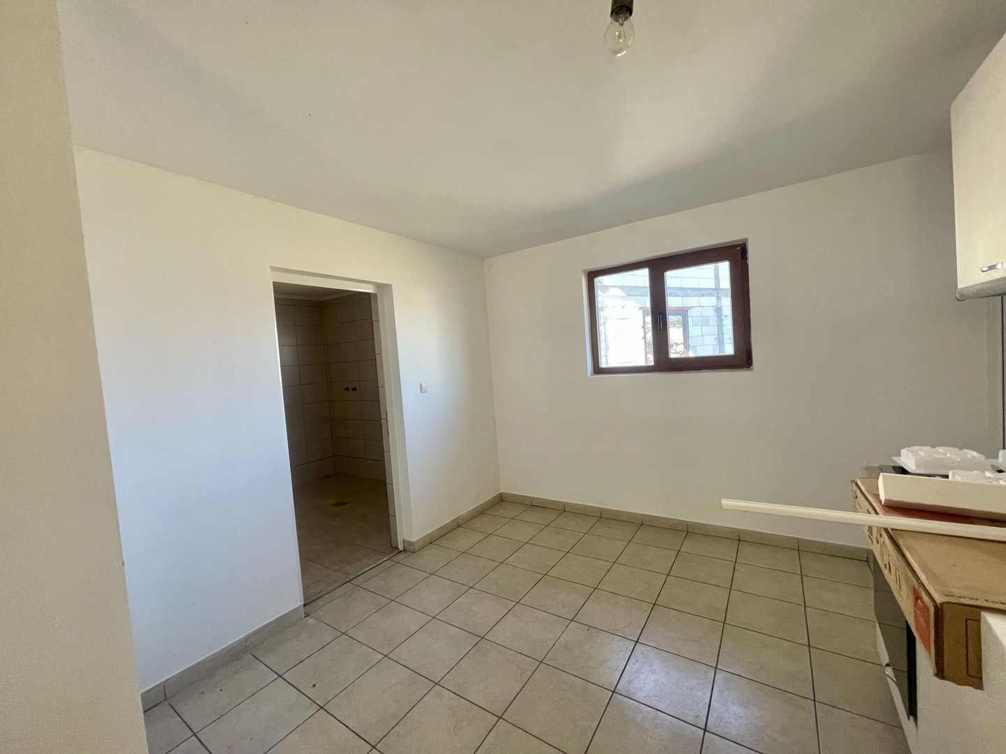 CASA RENOVATA + TEREN 3100 MP | CURTE SI GRADINA | FRATAUTII NOI - Poză 7