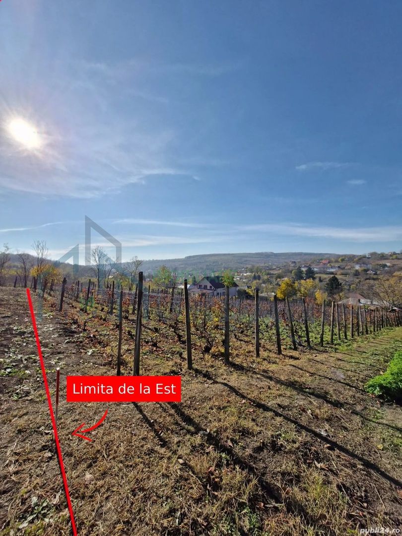 Teren intravilan 1308 mp Rediu | 9 min (5.8 km) Copou 9 min (5.8 km) Pacurari - Poză 4