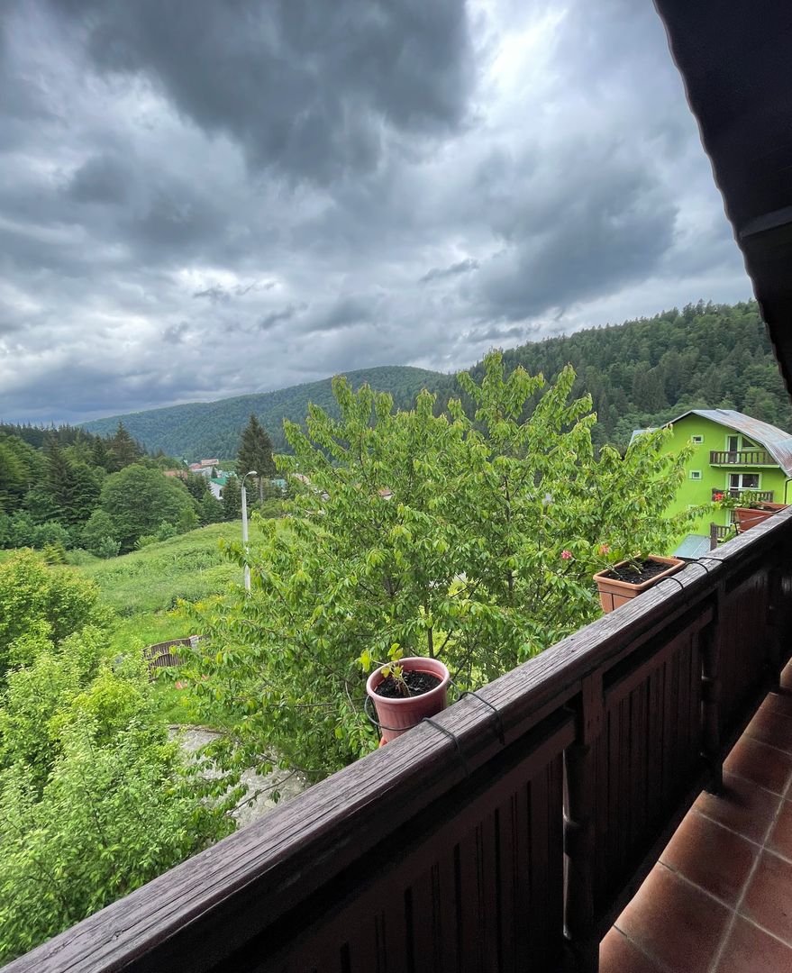 Proprietate in incantarea naturii, oportunitate investitie/rezidential, Predeal - Poză 24