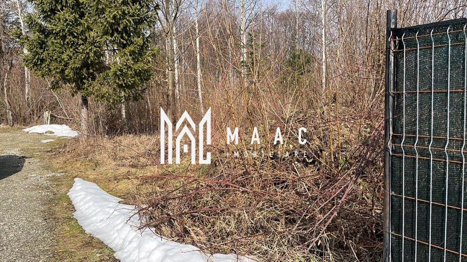 Teren 744 mp I Intravilan I Valea Avrigului - Poză 4